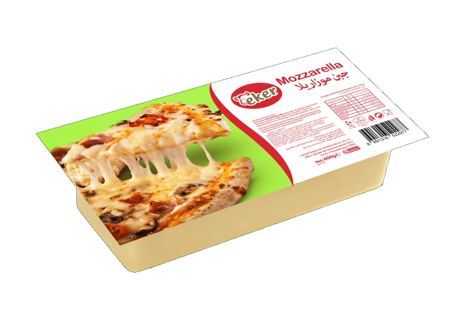 MOZARELLA PEYNİRİ 600 GR